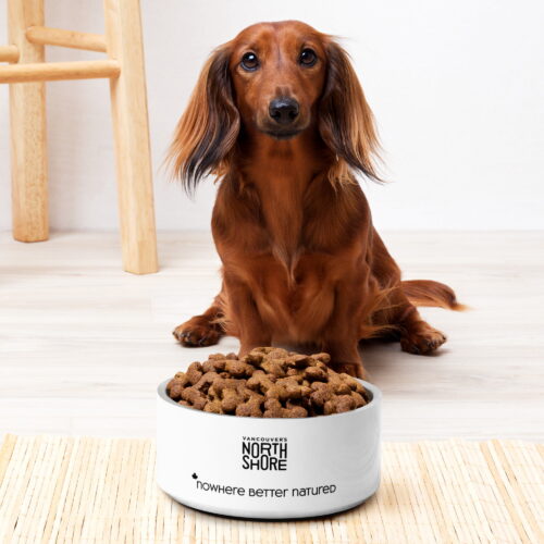 Vancouver’s North Shore Pet Bowl